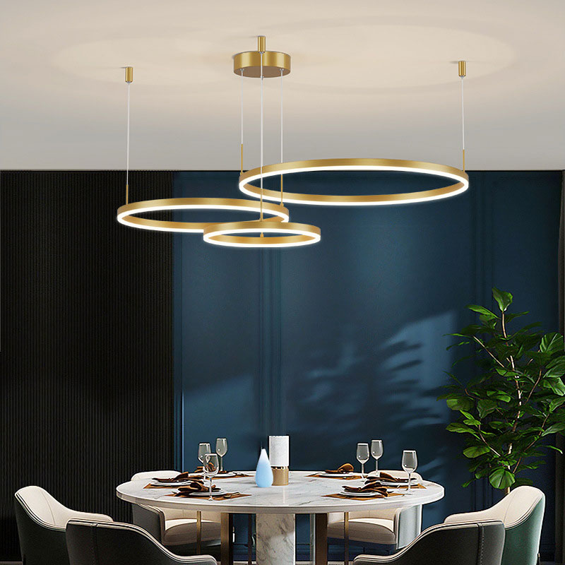 Metal Acrylic Ring Pendant Light with SMD LED and IP20 Rating