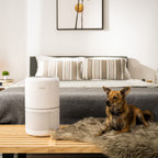 Air Purifier HEPA Activated Carbon Filter Timer Fan Settings