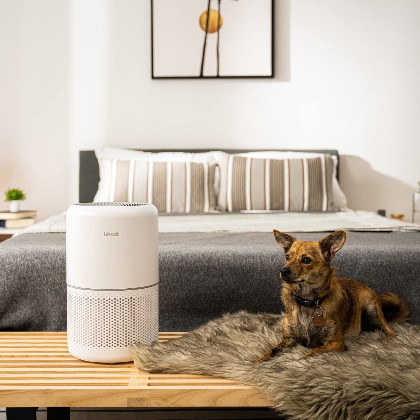 Air Purifier HEPA Activated Carbon Filter Timer Fan Settings