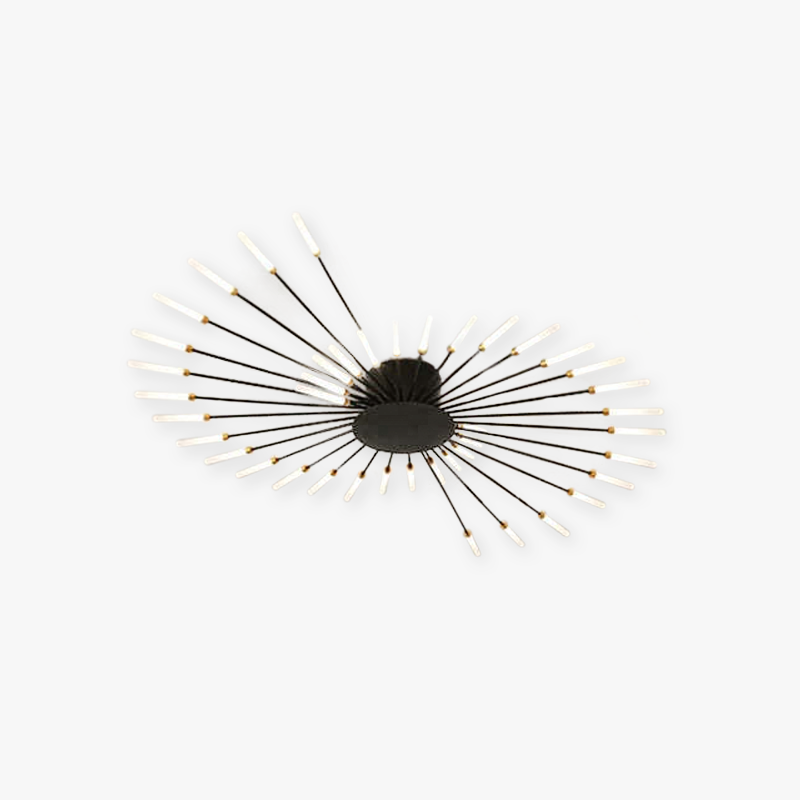 Black Gold Metal Acrylic LED Ceiling Light with SMD Socket