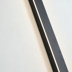 Black Metal Acrylic LED Outdoor Wall Light with SMD Lamp Base