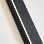 Black Metal Acrylic LED Outdoor Wall Light with SMD Lamp Base
