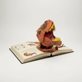 Dinosaur 3D Pop Up Book with Illustrated Pages