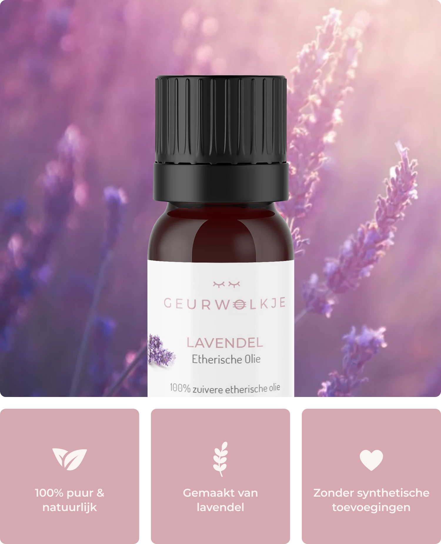 French Lavender Essential Oil Available 5 ml 10 ml 50 ml
