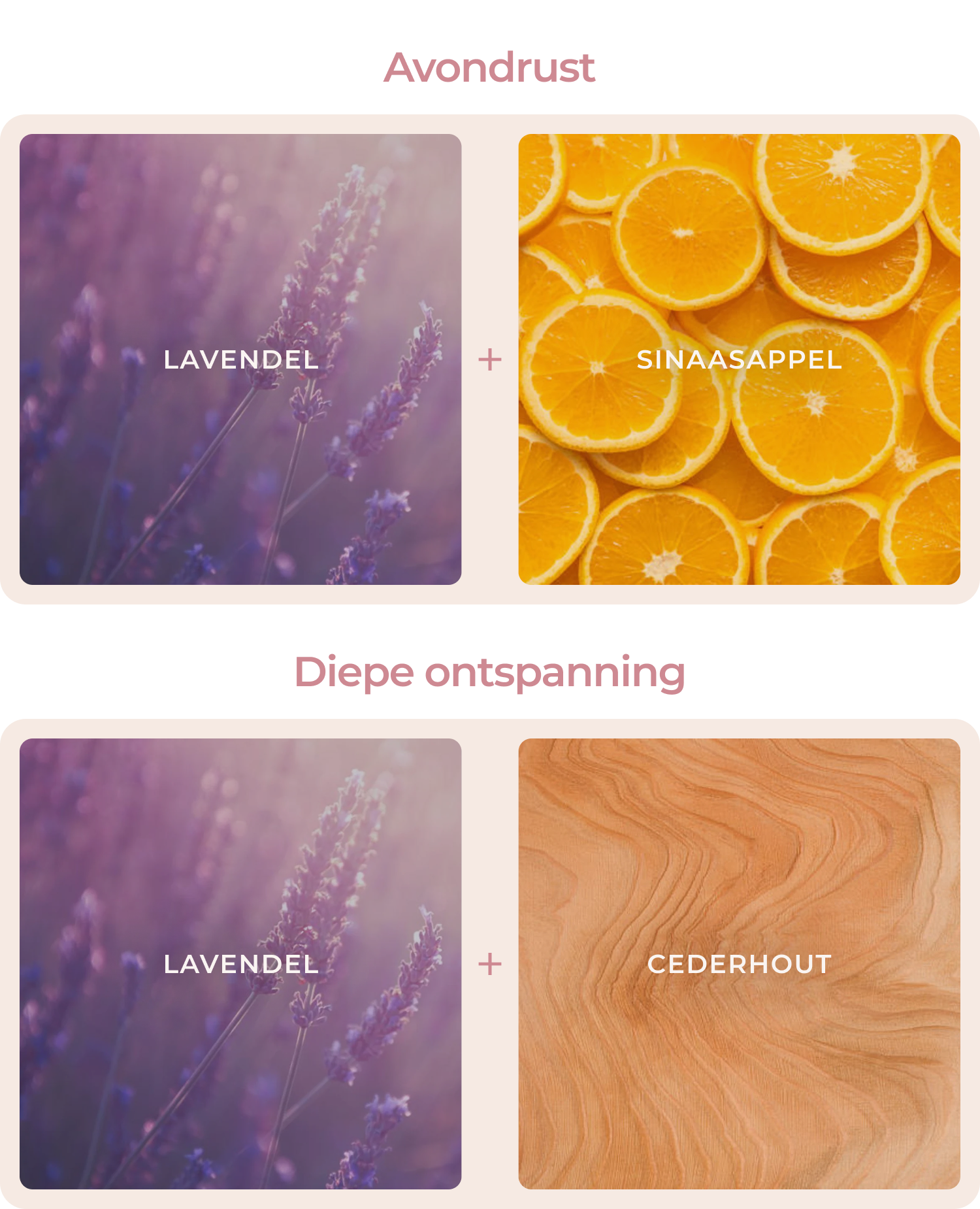 French Lavender Essential Oil Available 5 ml 10 ml 50 ml