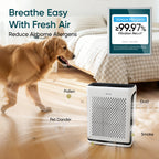 HEPA Air Purifier with Carbon Filter Sensor and Timer