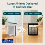 HEPA Air Purifier with Carbon Filter Sensor and Timer