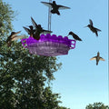 Hummingbird Feeder with Ant Moat and Hanging Hook