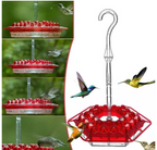 Hummingbird Feeder with Ant Moat and Hanging Hook
