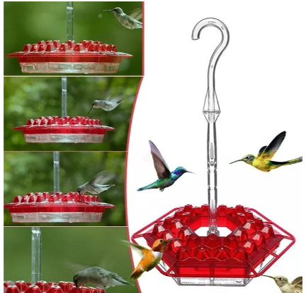 Hummingbird Feeder with Ant Moat and Hanging Hook