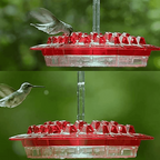 Hummingbird Feeder with Ant Moat and Hanging Hook