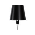 LED Bottle Lamp with USB C Charging and Adjustable Light Color