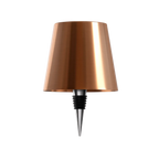 LED Bottle Lamp with USB C Charging and Adjustable Light Color