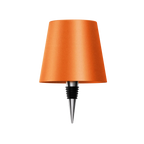 LED Bottle Lamp with USB C Charging and Adjustable Light Color
