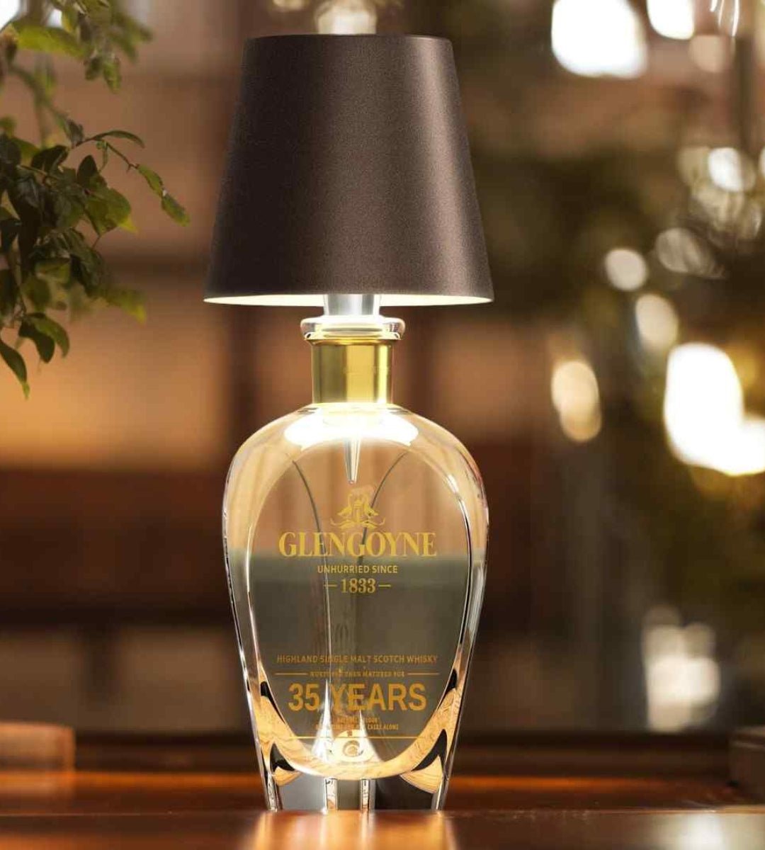 LED Bottle Lamp with USB C Charging and Adjustable Light Color