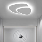 Metal Acrylic Ceiling Light with Switchable LED Colours
