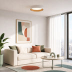 Frameless Round Flush Mount LED Ceiling Light with Acrylic Shade