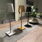Rechargeable Aluminium Table Lamp with USB Charging and LED