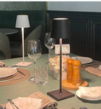 Rechargeable Aluminium Table Lamp with USB Charging and LED