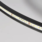 Ring LED Ceiling Light with Metal Acrylic Body