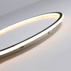 Ring LED Ceiling Light with Metal Acrylic Body