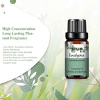 10ml Essential Oil Bottle for Diffuser and Humidifier Use
