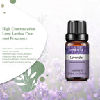 10ml Essential Oil Bottle for Diffuser and Humidifier Use