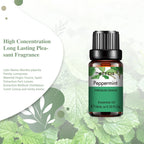 10ml Essential Oil Bottle for Diffuser and Humidifier Use