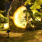 Solar LED Outdoor Spot Light with RGB Dimmer Control