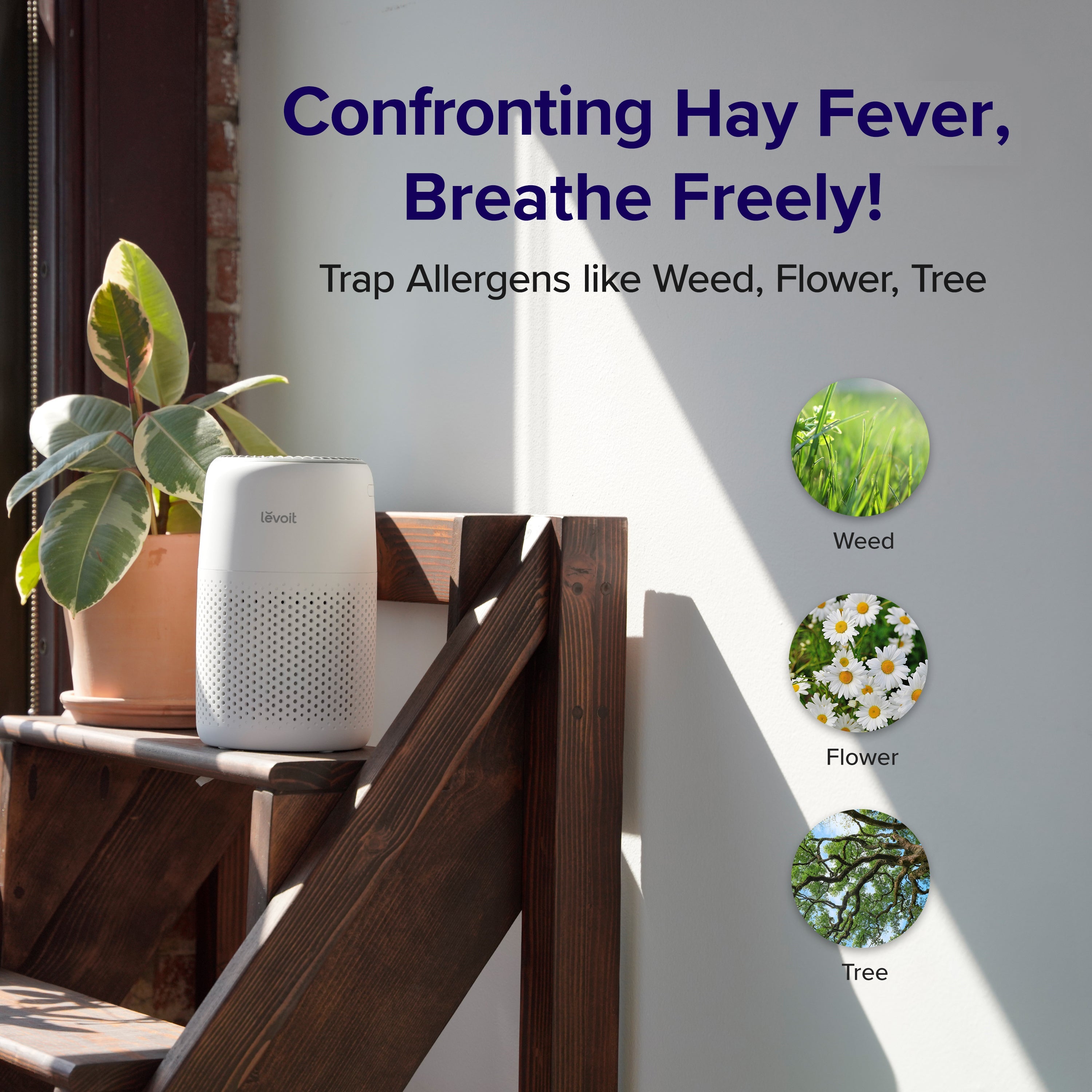 Three Layer HEPA Filter Air Purifier with Aroma Pad
