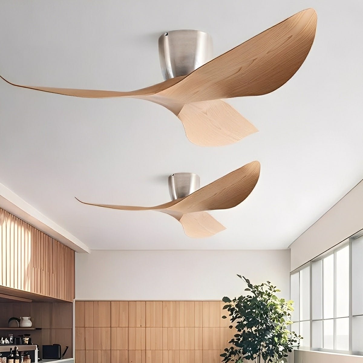 6 Speed DC Motor Ceiling Fan with Reverse Function