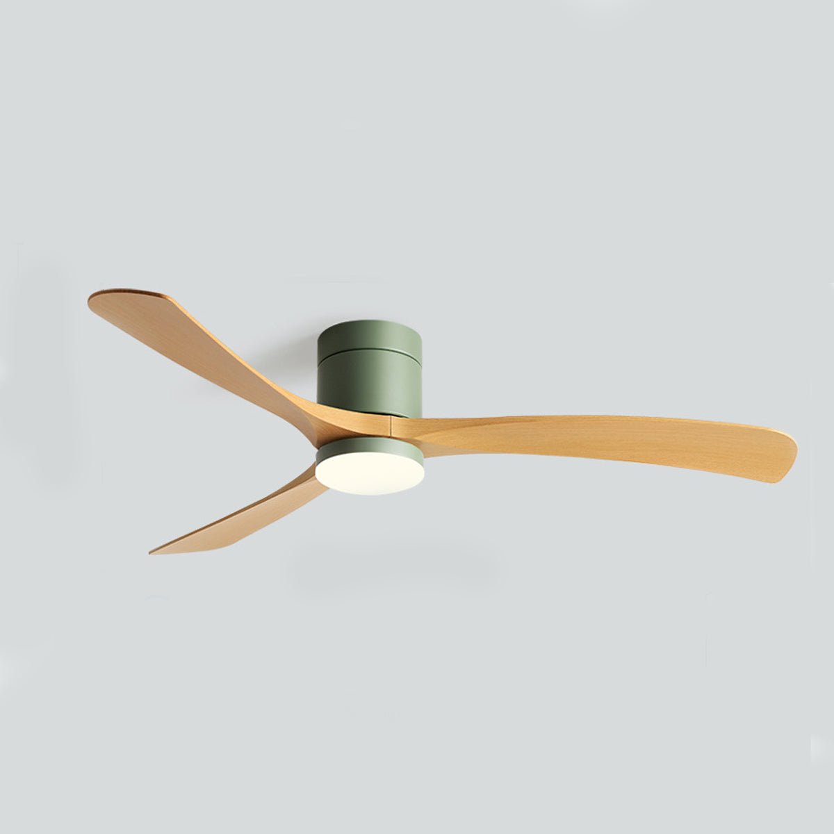 Ceiling Fan Light with DC Motor and LED Lamp Beads